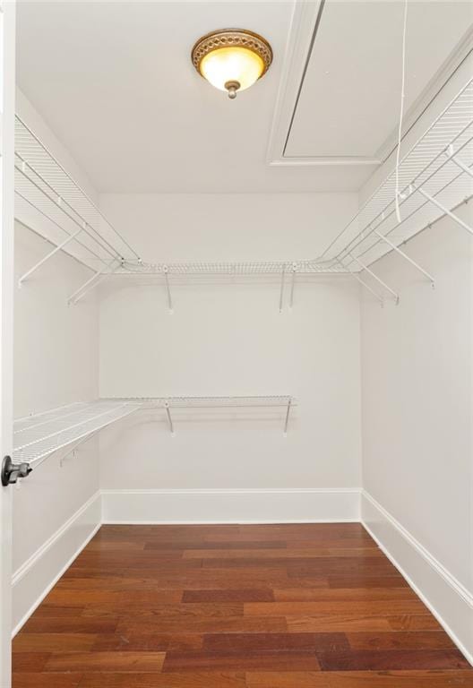 2015 N Decatur Rd NE, Atlanta, GA 30307 - walk in closet featuring wood finished floors