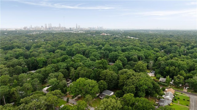 1218 Crestwood Dr SE, Atlanta, GA 30316 - bird's eye view of a forest