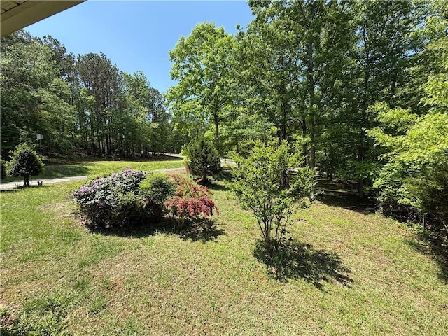 view of yard featuring a wooded view