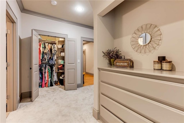 99 Bree Ln, Canton, GA 30114 - spacious closet with light carpet