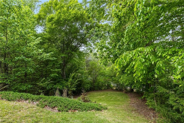 99 Bree Ln, Canton, GA 30114 - view of yard featuring a view of trees
