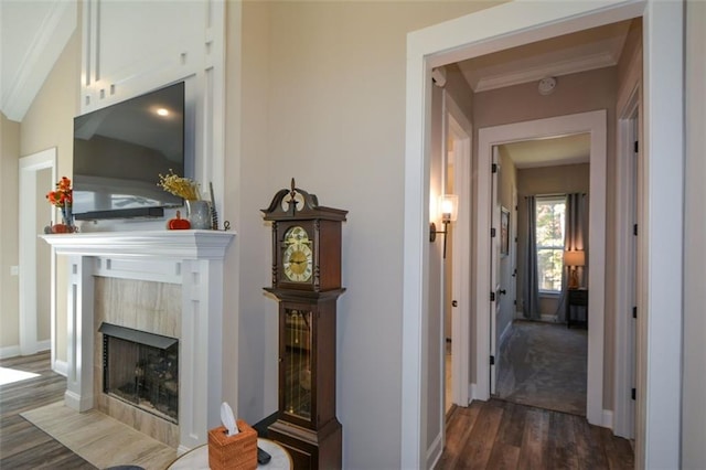 living room featuring crown molding, dark hardwood / wood-style flooring, and a fireplace