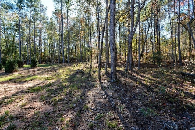 view of local wilderness