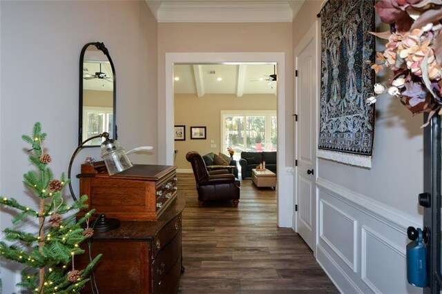 corridor featuring beamed ceiling, dark hardwood / wood-style flooring, and ornamental molding