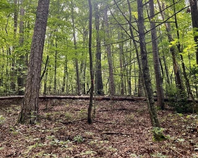 0 Mountain View Ln, Mccaysville, GA 30555
