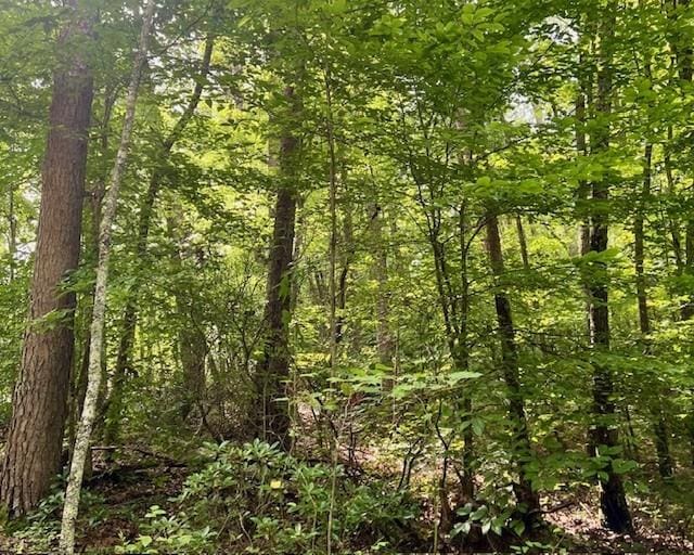 0 Mountain View Ln, Mccaysville, GA 30555