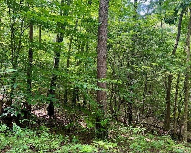0 Mountain View Ln, Mccaysville, GA 30555