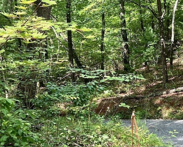 0 Mountain View Ln, Mccaysville, GA 30555