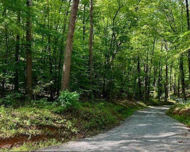 0 Mountain View Ln, Mccaysville, GA 30555