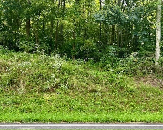0 Mountain View Ln, Mccaysville, GA 30555
