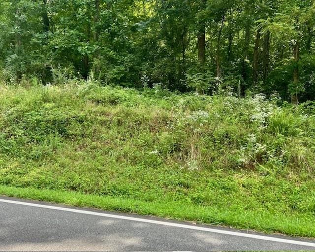 0 Mountain View Ln, Mccaysville, GA 30555