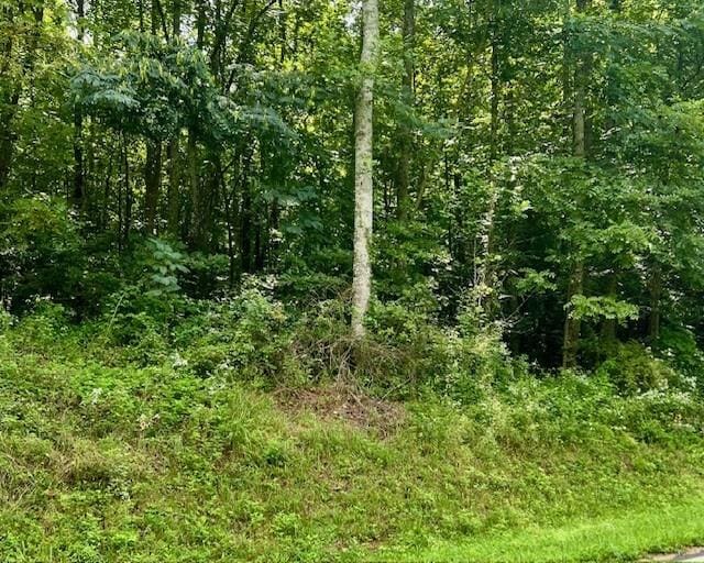 0 Mountain View Ln, Mccaysville, GA 30555