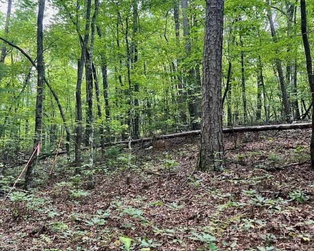 0 Mountain View Ln, Mccaysville, GA 30555