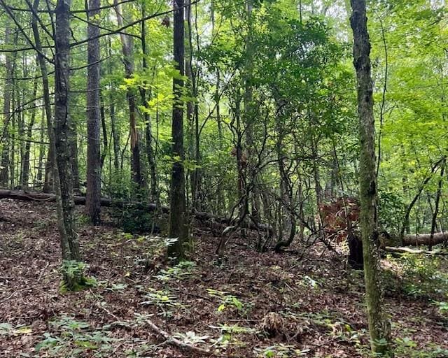 0 Mountain View Ln, Mccaysville, GA 30555