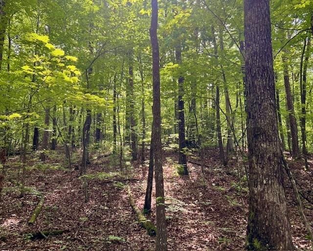 0 Mountain View Ln, Mccaysville, GA 30555