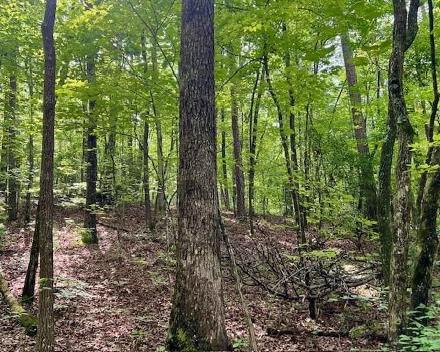 0 Mountain View Ln, Mccaysville, GA 30555