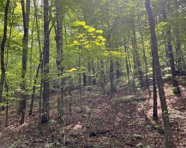 0 Mountain View Ln, Mccaysville, GA 30555