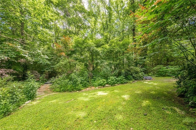 5848 Kingswood Ct, Norcross, GA 30093 - view of green lawn featuring a view of trees