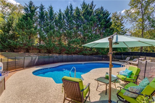 view of pool featuring a patio