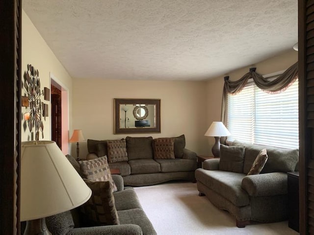 carpeted living room featuring a textured ceiling