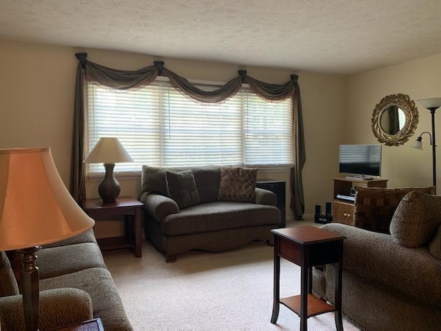 living room with a textured ceiling and carpet flooring