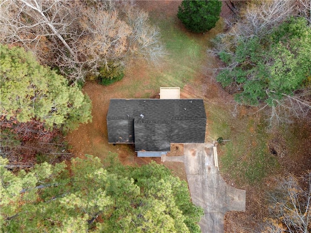 bird's eye view