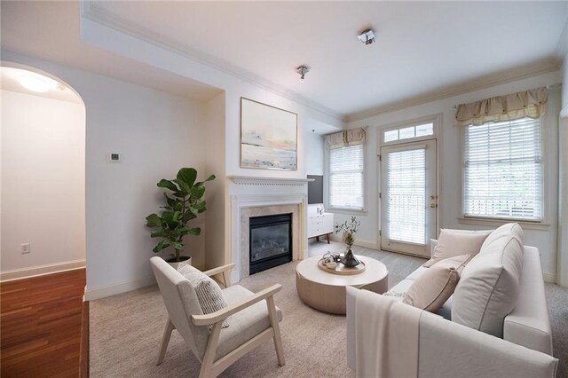 living room featuring light hardwood / wood-style floors, ornamental molding, and plenty of natural light