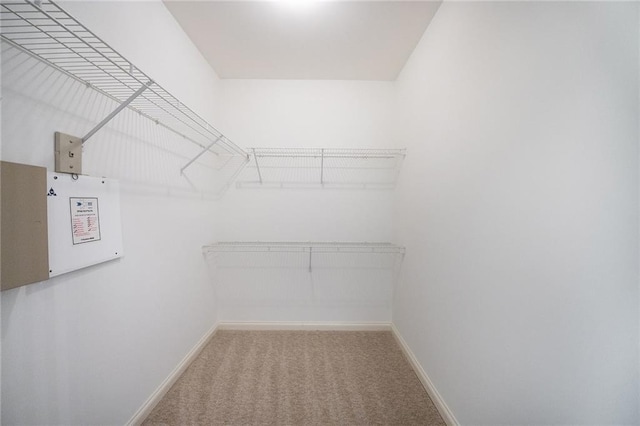 walk in closet featuring carpet