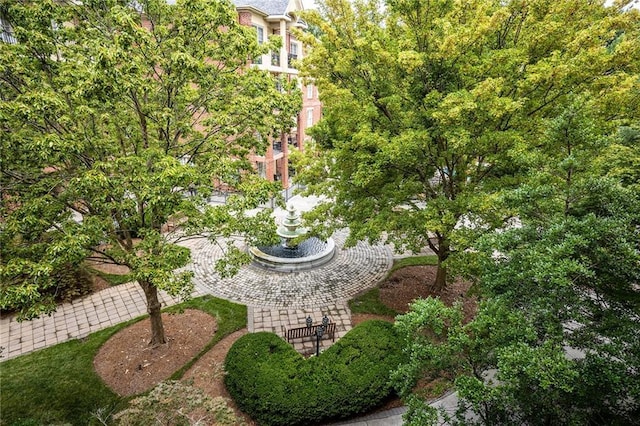 1735 Peachtree St NE Unit 321, Atlanta, GA 30309 - view of yard