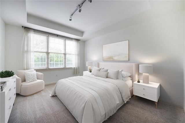 carpeted bedroom with baseboards, a raised ceiling, and track lighting