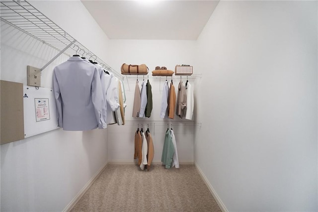 walk in closet with light carpet