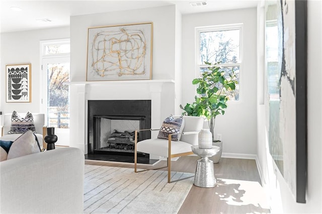 sitting room featuring light hardwood / wood-style flooring