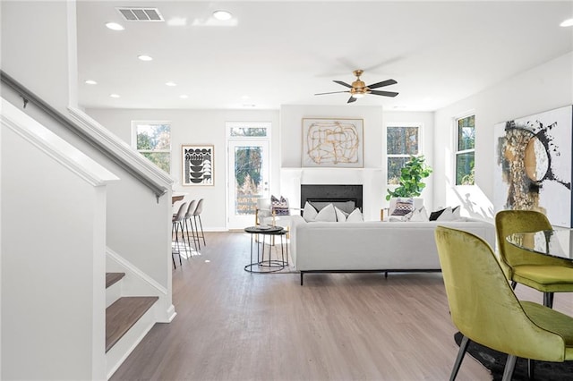 living room featuring ceiling fan and wood-type flooring