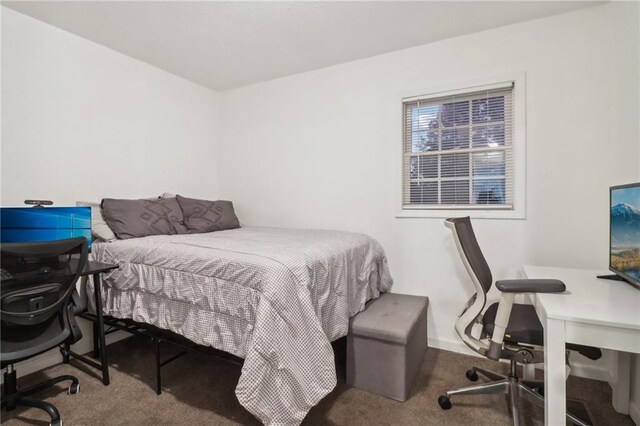 bedroom with carpet flooring