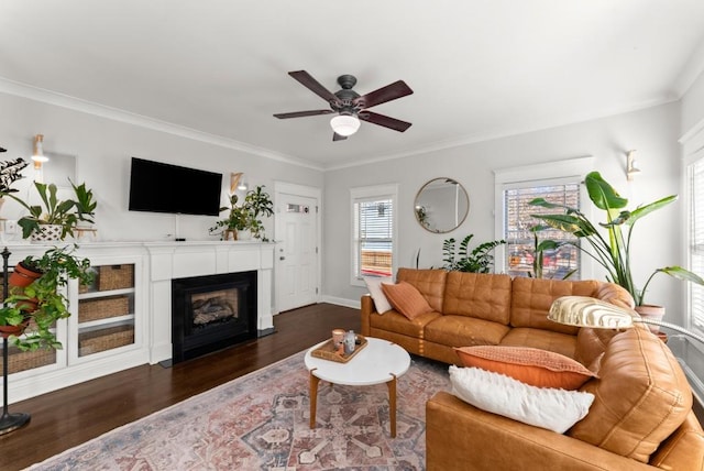 living area with baseboards, a ceiling fan, a fireplace with flush hearth, ornamental molding, and wood finished floors