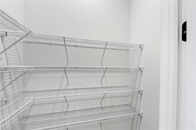 212 Birchwood Row, Canton, GA 30115 - view of pantry