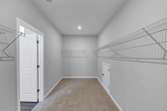 212 Birchwood Row, Canton, GA 30115 - walk in closet featuring carpet floors