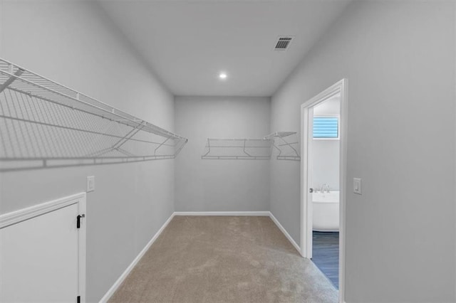 212 Birchwood Row, Canton, GA 30115 - spacious closet featuring carpet floors