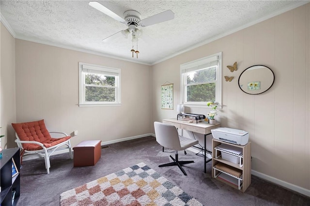 191 Durham St, Dallas, GA 30132 - carpeted office with a ceiling fan, ornamental molding, baseboards, and a textured ceiling