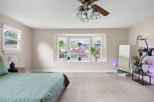 191 Durham St, Dallas, GA 30132 - bedroom with carpet, baseboards, and a textured ceiling