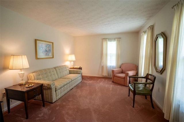 1434 Culpepper Rd, Calhoun, GA 30701 - living room with carpet flooring and a textured ceiling