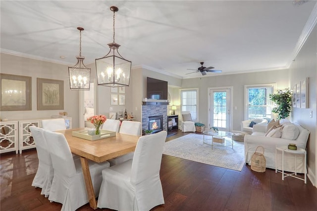 dining space featuring a stone fireplace, ornamental molding, ceiling fan with notable chandelier, and dark wood-type flooring