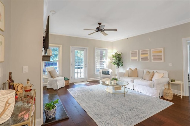 living room featuring ceiling fan, ornamental molding, and dark hardwood / wood-style flooring