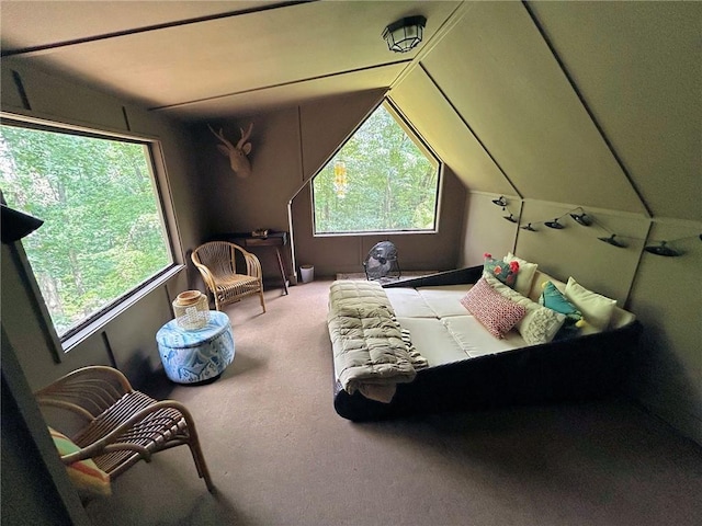 bedroom with vaulted ceiling and carpet floors