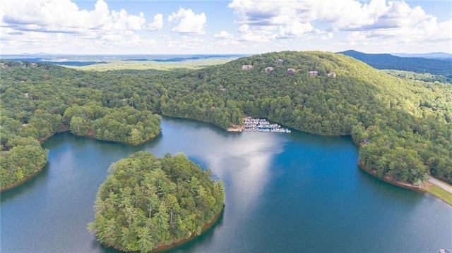 57 Shaggy Maple Ln, Big Canoe, GA 30143 - bird's eye view of a water and mountain view