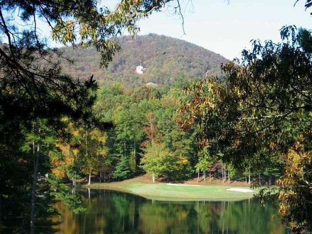 57 Shaggy Maple Ln, Big Canoe, GA 30143 - water view featuring a mountainous background and a heavily wooded area
