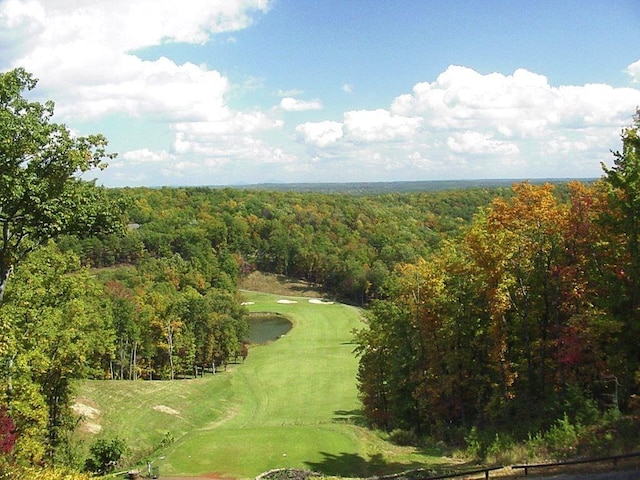 57 Shaggy Maple Ln, Big Canoe, GA 30143 - view of property's community with a forest view and view of golf course
