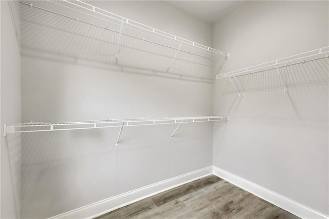 spacious closet with wood finished floors