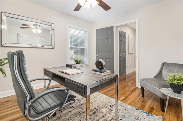 office featuring ceiling fan, baseboards, and wood finished floors