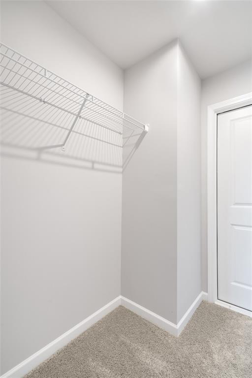 walk in closet featuring carpet floors